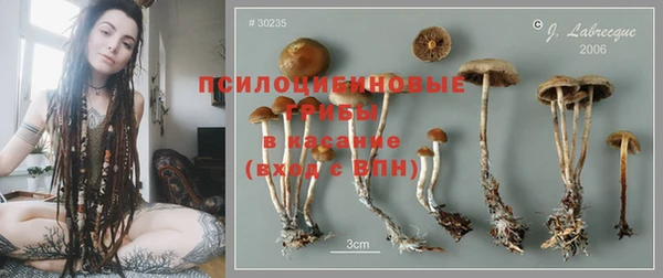прущие грибы Балашиха