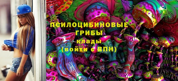 мдпв Красноперекопск