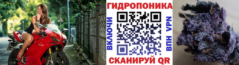 Бошки марихуана VHQ Тулун